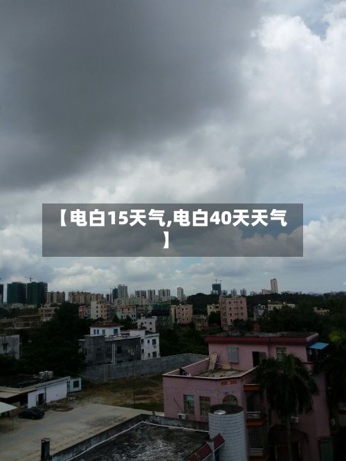 【电白15天气,电白40天天气】-第2张图片