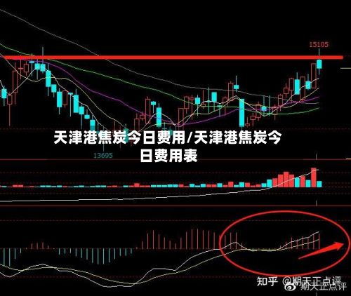 天津港焦炭今日费用/天津港焦炭今日费用表-第2张图片