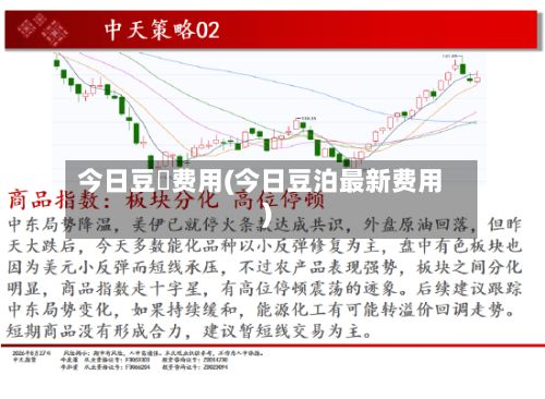 今日豆粨费用(今日豆泊最新费用)-第3张图片