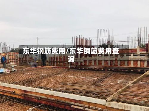 东华钢筋费用/东华钢筋费用查询