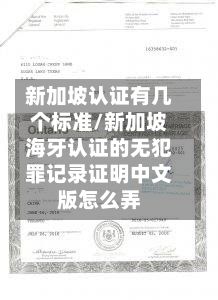 新加坡认证有几个标准/新加坡海牙认证的无犯罪记录证明中文版怎么弄