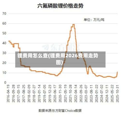 锂费用怎么查(锂费用2026费用走势图)-第2张图片