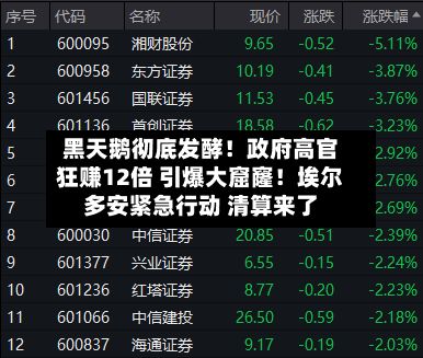 黑天鹅彻底发酵！政府高官狂赚12倍 引爆大窟窿！埃尔多安紧急行动 清算来了