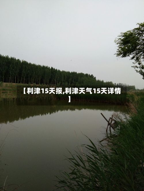 【利津15天报,利津天气15天详情】