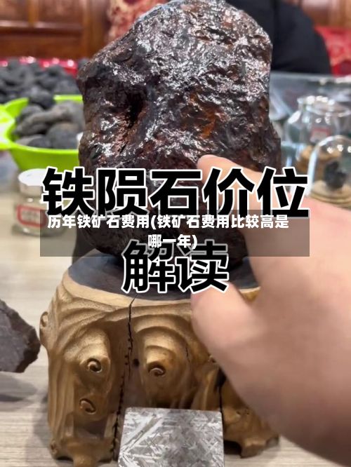 历年铁矿石费用(铁矿石费用比较高是哪一年)