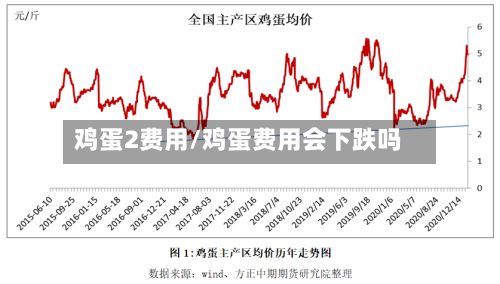 鸡蛋2费用/鸡蛋费用会下跌吗-第2张图片