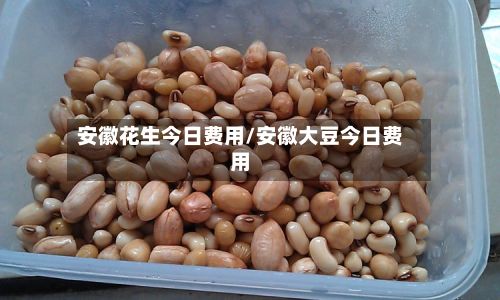 安徽花生今日费用/安徽大豆今日费用