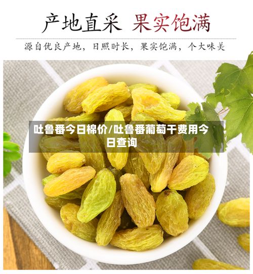 吐鲁番今日棉价/吐鲁番葡萄干费用今日查询