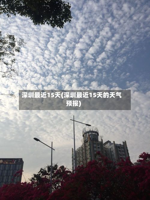 深圳最近15天(深圳最近15天的天气预报)