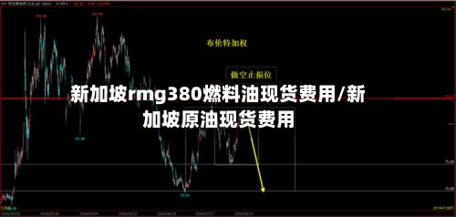 新加坡rmg380燃料油现货费用/新加坡原油现货费用