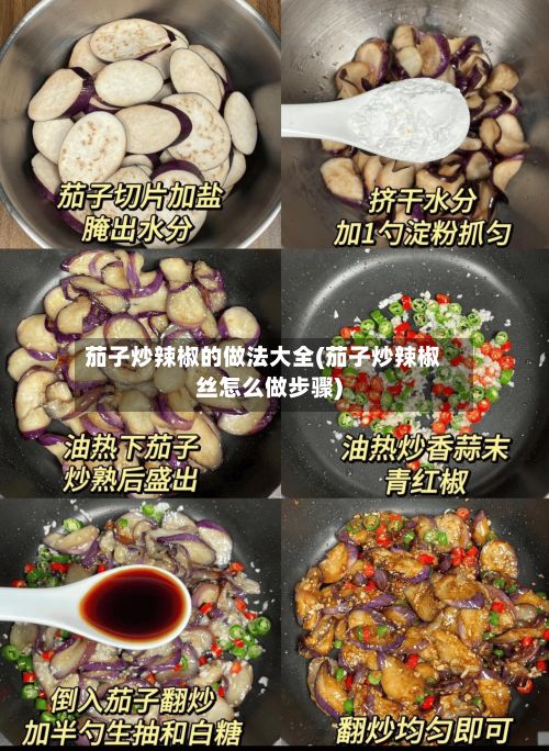 茄子炒辣椒的做法大全(茄子炒辣椒丝怎么做步骤)-第2张图片