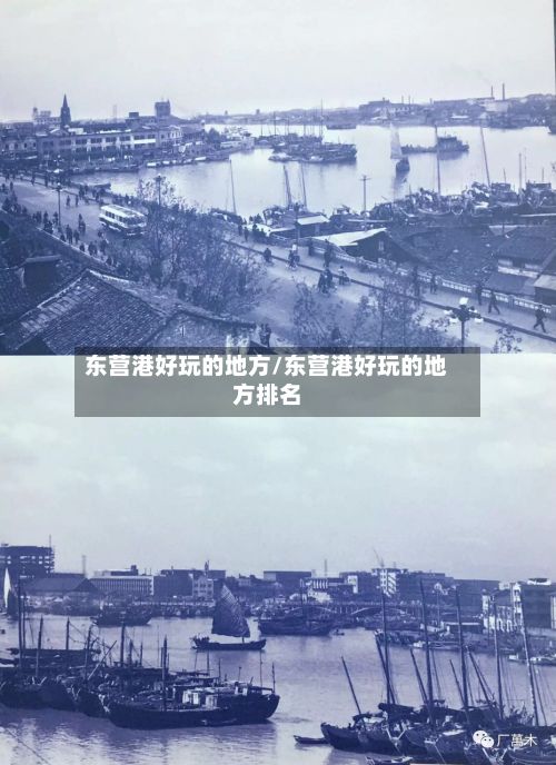 东营港好玩的地方/东营港好玩的地方排名