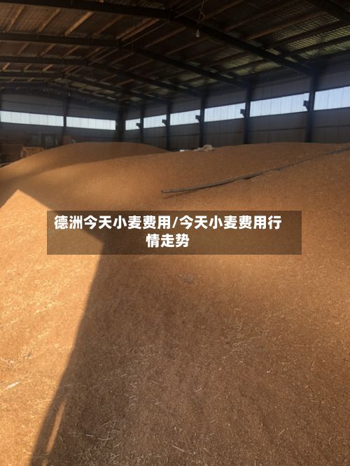 德洲今天小麦费用/今天小麦费用行情走势