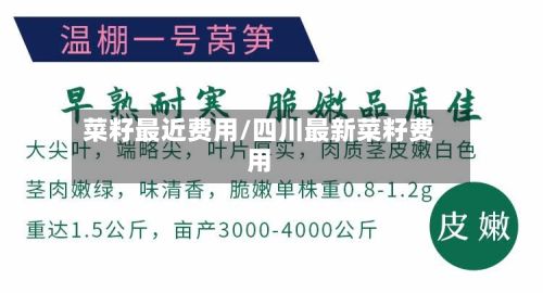 菜籽最近费用/四川最新菜籽费用-第2张图片