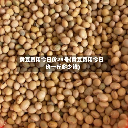黄豆费用今日价29号(黄豆费用今日价一斤多少钱)