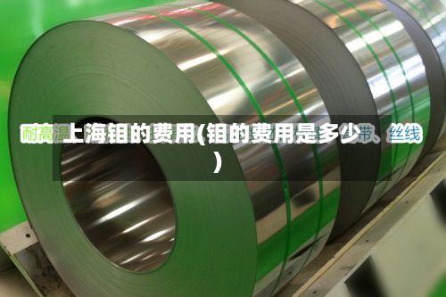 上海钼的费用(钼的费用是多少)-第3张图片