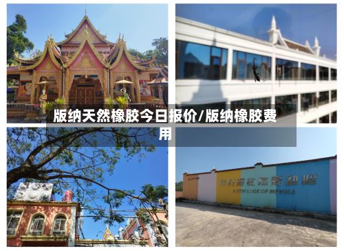 版纳天然橡胶今日报价/版纳橡胶费用-第3张图片