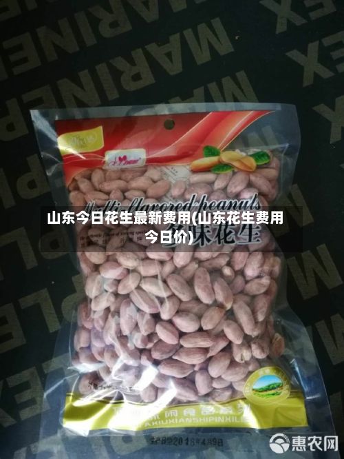 山东今日花生最新费用(山东花生费用今日价)