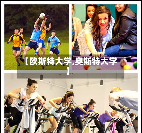 【欧斯特大学,奥斯特大学】