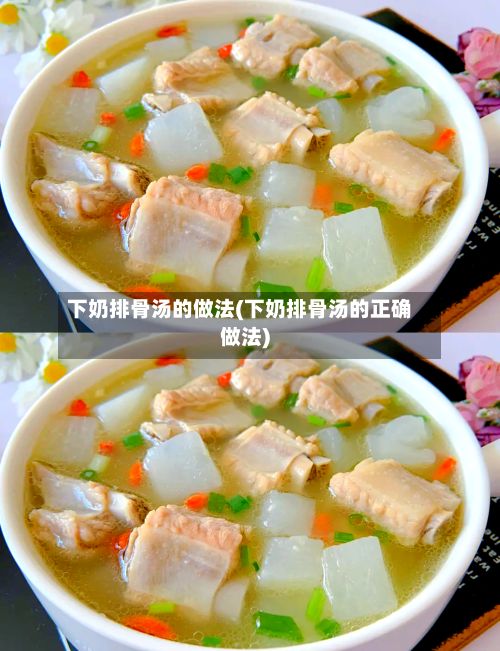 下奶排骨汤的做法(下奶排骨汤的正确做法)