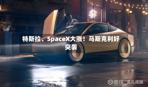 特斯拉、SpaceX大涨！马斯克利好突袭-第3张图片