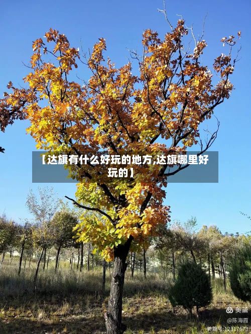 【达旗有什么好玩的地方,达旗哪里好玩的】