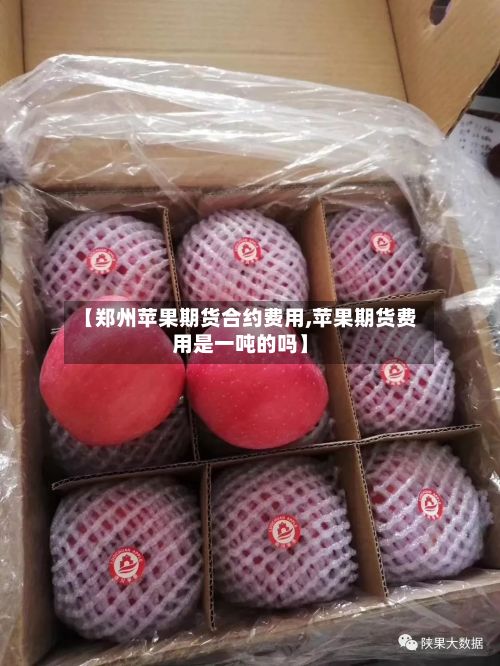 【郑州苹果期货合约费用,苹果期货费用是一吨的吗】-第2张图片