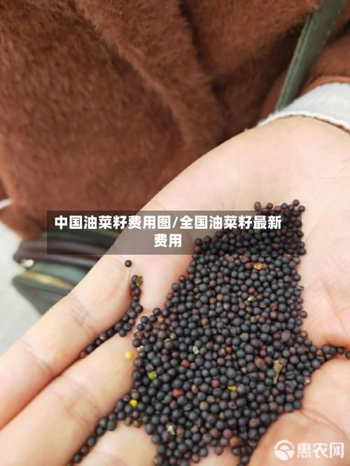中国油菜籽费用图/全国油菜籽最新费用-第3张图片