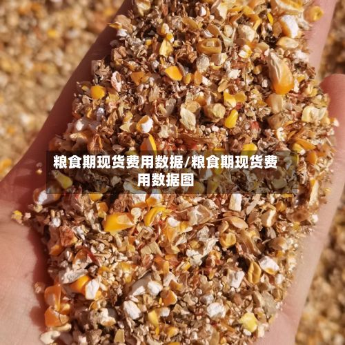 粮食期现货费用数据/粮食期现货费用数据图
