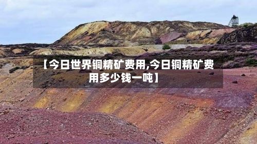 【今日世界铜精矿费用,今日铜精矿费用多少钱一吨】
