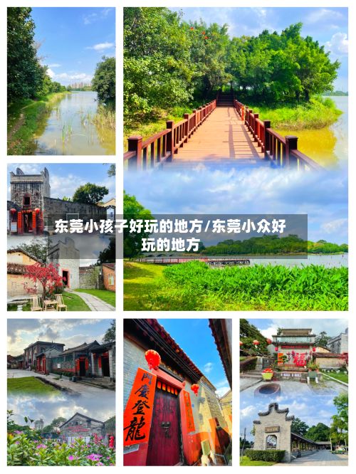 东莞小孩子好玩的地方/东莞小众好玩的地方-第2张图片
