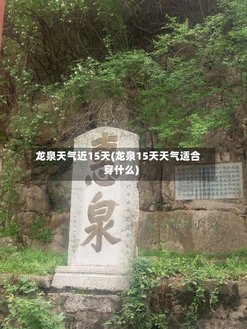 龙泉天气近15天(龙泉15天天气适合穿什么)