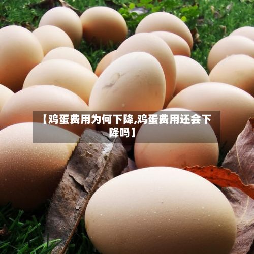 【鸡蛋费用为何下降,鸡蛋费用还会下降吗】-第2张图片