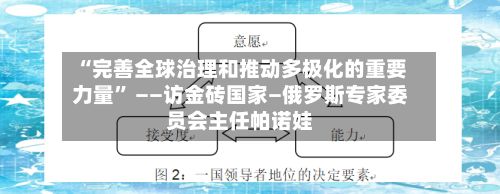 “完善全球治理和推动多极化的重要力量” ——访金砖国家—俄罗斯专家委员会主任帕诺娃-第2张图片