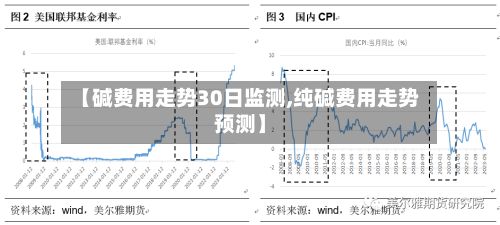 【碱费用走势30日监测,纯碱费用走势预测】