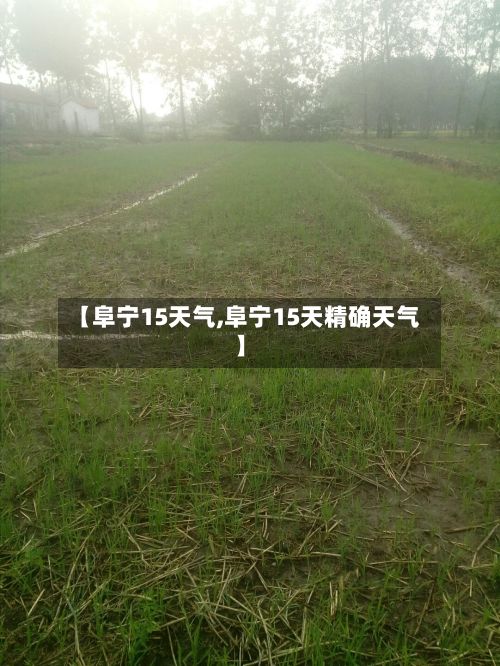【阜宁15天气,阜宁15天精确天气】