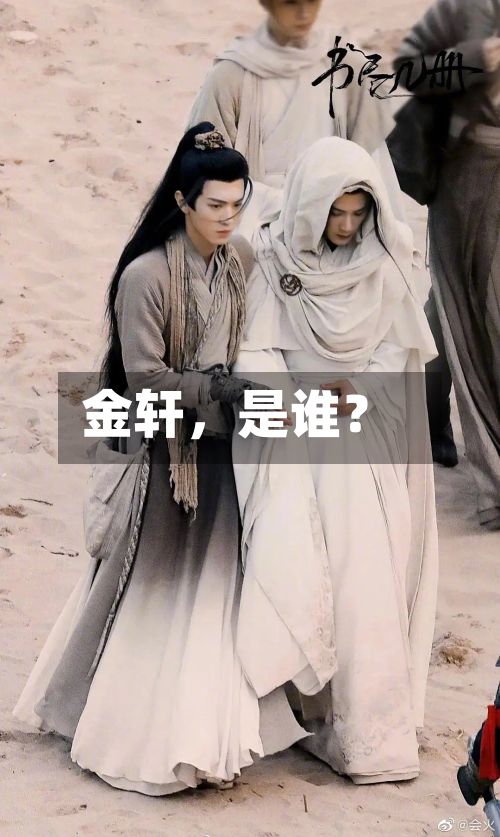 金轩，是谁？-第2张图片