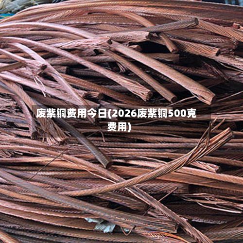 废紫铜费用今日(2026废紫铜500克费用)-第3张图片