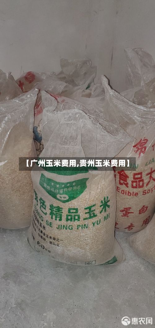 【广州玉米费用,贵州玉米费用】