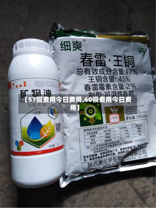 【57铜费用今日费用,60铜费用今日费用】