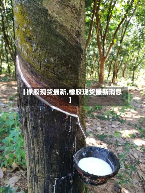 【橡胶现货最新,橡胶现货最新消息】