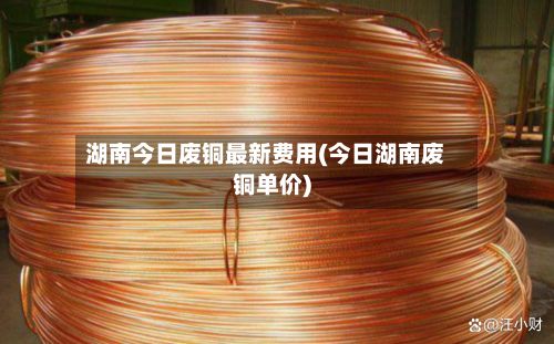 湖南今日废铜最新费用(今日湖南废铜单价)