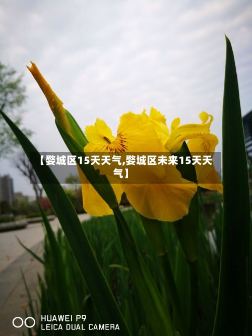 【婺城区15天天气,婺城区未来15天天气】-第2张图片