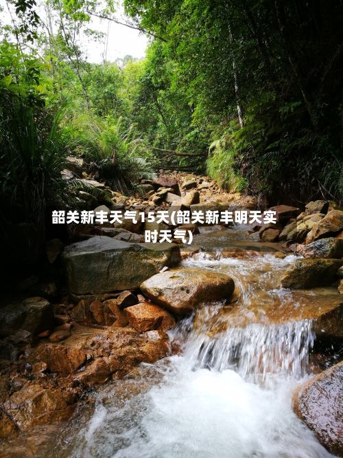 韶关新丰天气15天(韶关新丰明天实时天气)