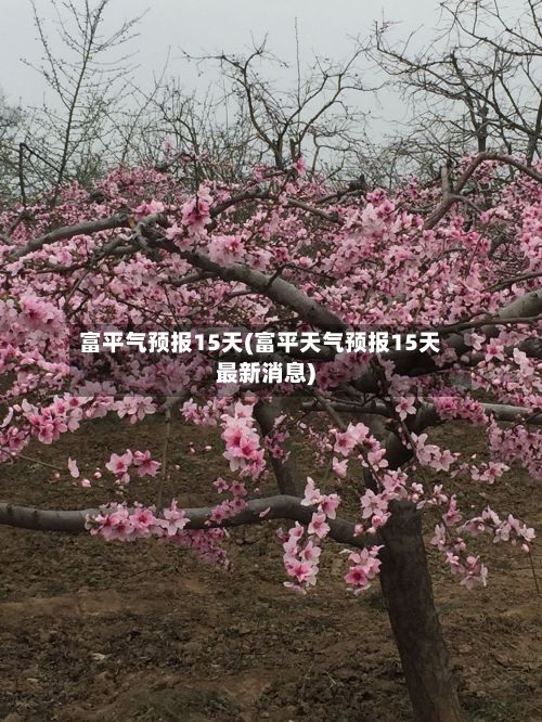 富平气预报15天(富平天气预报15天最新消息)-第3张图片