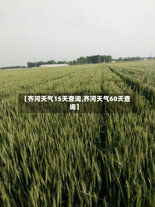 【齐河天气15天查询,齐河天气60天查询】-第2张图片