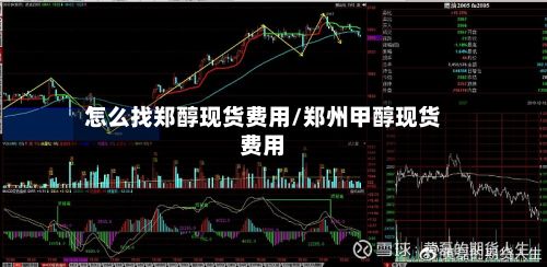 怎么找郑醇现货费用/郑州甲醇现货费用