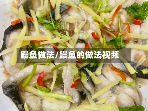 鳗鱼做法/鳗鱼的做法视频-第2张图片