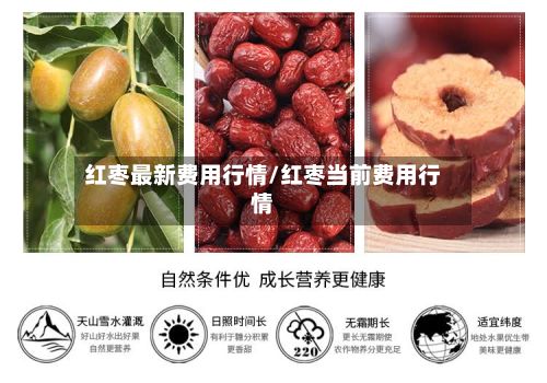 红枣最新费用行情/红枣当前费用行情-第2张图片