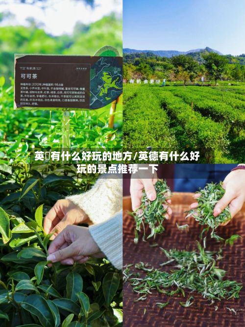 英徳有什么好玩的地方/英德有什么好玩的景点推荐一下-第2张图片